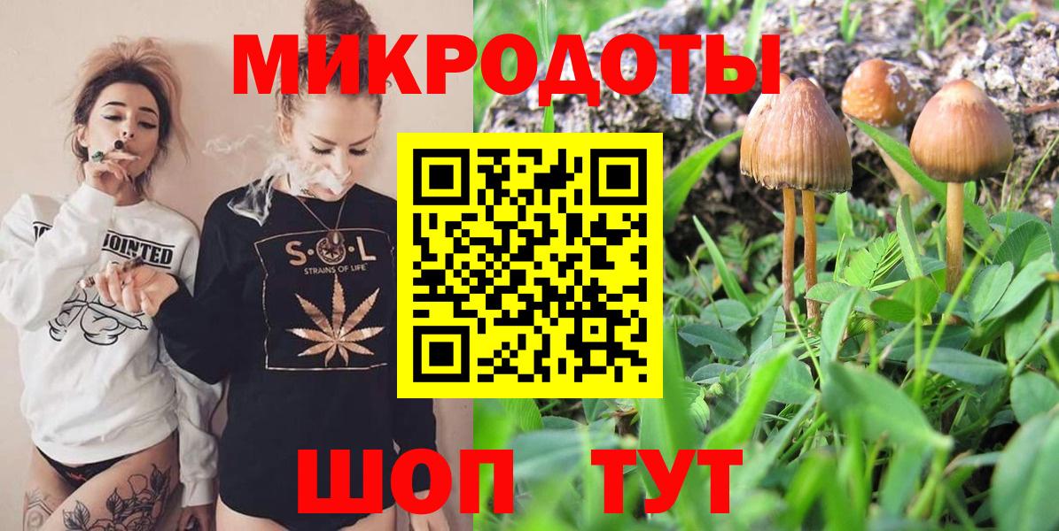 Чапаевск  Галлюциногенные грибы Psilocybe  Вход с VPN 