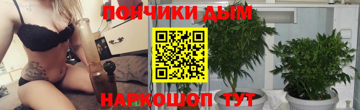 Чапаевск  Конопля гибрид  Конопля MAZAR  Бошки марихуана VHQ  Вход с VPN 